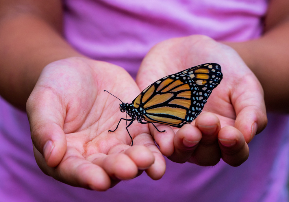 10 Ways to Honor the Loss of a Loved one