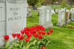Examples of Great Epitaphs