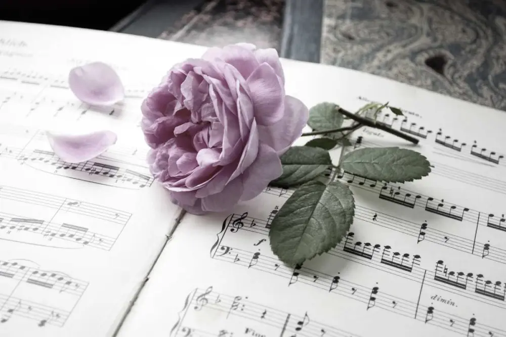 Song Ideas for a Funeral Service