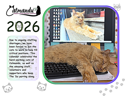 Calendar 2026 2